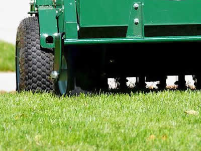 Lawn Aeration Services
