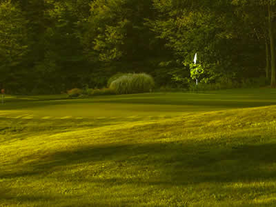 Lawn Overseeding Services