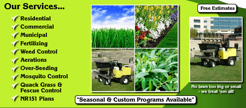 Our Services